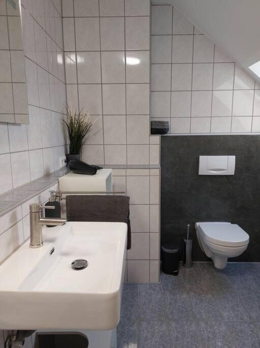 Rooftop Apartmens Ulm - Komfortable Neue Gemeinschaftsunterkunft Im Herzen Von Ulm - Raum 3 Eksteriør billede